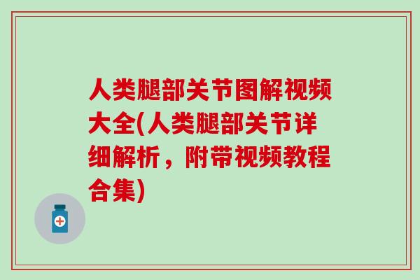 人类腿部关节图解视频大全(人类腿部关节详细解析，附带视频教程合集)