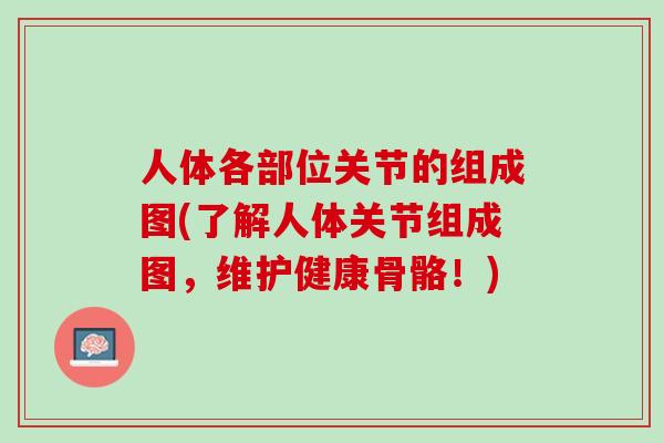 人体各部位关节的组成图(了解人体关节组成图，维护健康骨骼！)