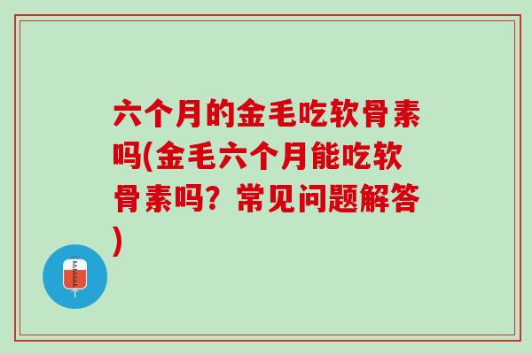 六个月的金毛吃软骨素吗(金毛六个月能吃软骨素吗？常见问题解答)