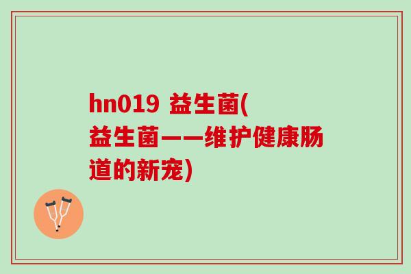 hn019 益生菌(益生菌——维护健康肠道的新宠)