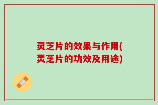 灵芝片的效果与作用(灵芝片的功效及用途)