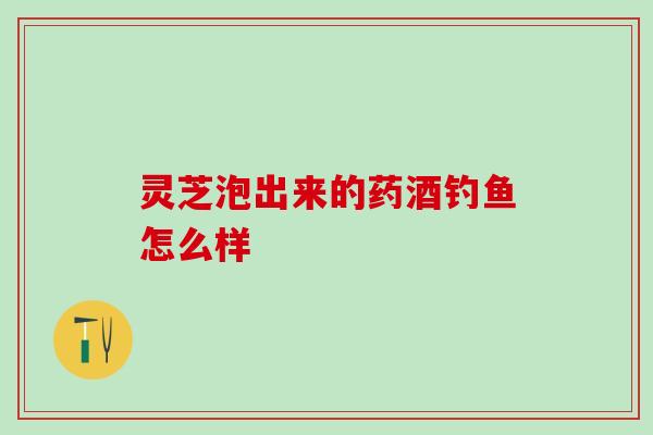 灵芝泡出来的药酒钓鱼怎么样