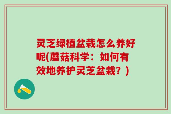 灵芝绿植盆栽怎么养好呢(蘑菇科学：如何有效地养护灵芝盆栽？)