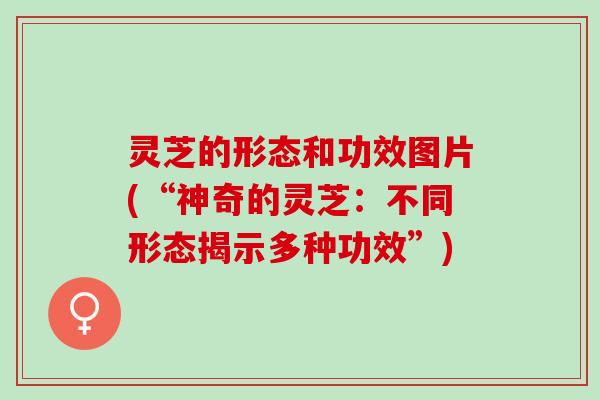 灵芝的形态和功效图片(“神奇的灵芝：不同形态揭示多种功效”)