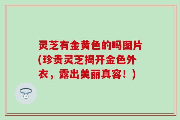 灵芝有金黄色的吗图片(珍贵灵芝揭开金色外衣，露出美丽真容！)