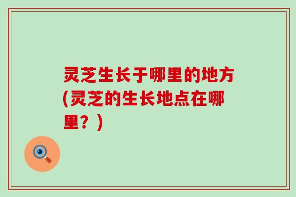 灵芝生长于哪里的地方(灵芝的生长地点在哪里？)