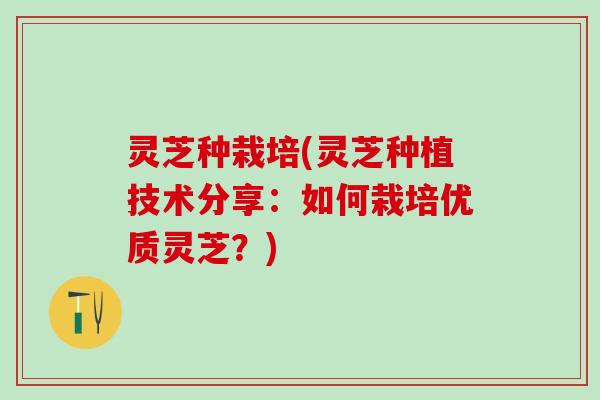 灵芝种栽培(灵芝种植技术分享：如何栽培优质灵芝？)