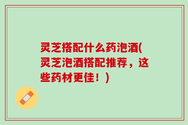 灵芝搭配什么药泡酒(灵芝泡酒搭配推荐，这些药材更佳！)