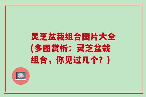灵芝盆栽组合图片大全(多图赏析：灵芝盆栽组合，你见过几个？)