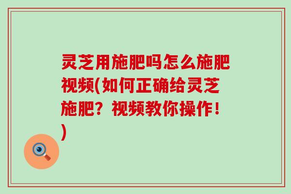 灵芝用施肥吗怎么施肥视频(如何正确给灵芝施肥？视频教你操作！)