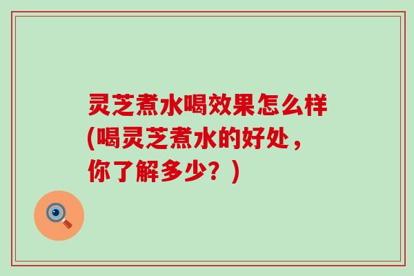 灵芝煮水喝效果怎么样(喝灵芝煮水的好处，你了解多少？)