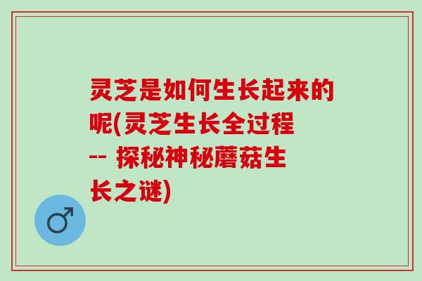 灵芝是如何生长起来的呢(灵芝生长全过程 -- 探秘神秘蘑菇生长之谜)