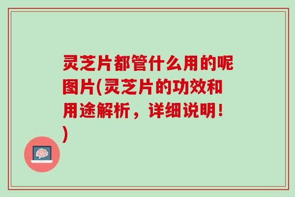 灵芝片都管什么用的呢图片(灵芝片的功效和用途解析，详细说明！)