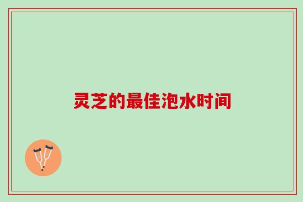 灵芝的最佳泡水时间