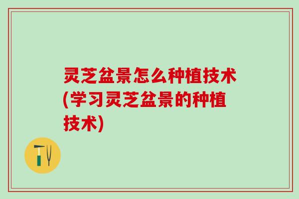 灵芝盆景怎么种植技术(学习灵芝盆景的种植技术)