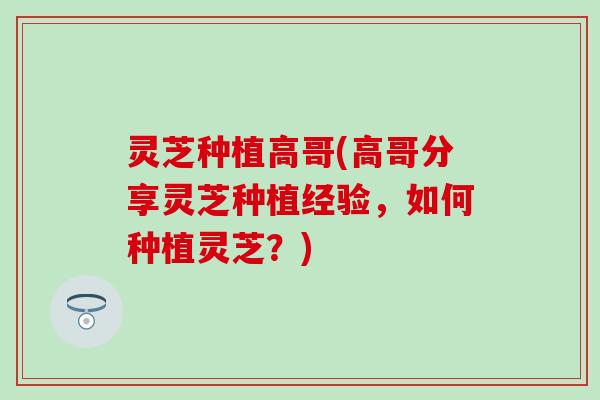 灵芝种植高哥(高哥分享灵芝种植经验，如何种植灵芝？)