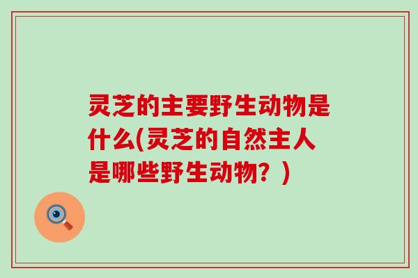 灵芝的主要野生动物是什么(灵芝的自然主人是哪些野生动物？)