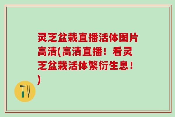 灵芝盆栽直播活体图片高清(高清直播！看灵芝盆栽活体繁衍生息！)