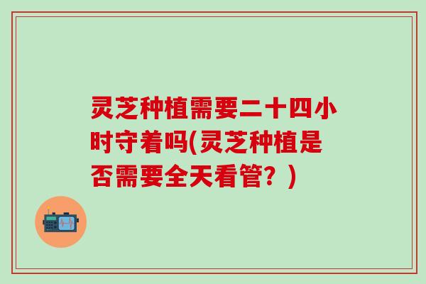 灵芝种植需要二十四小时守着吗(灵芝种植是否需要全天看管？)