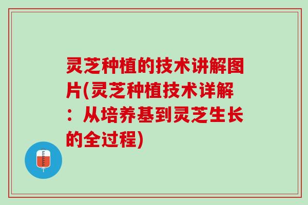 灵芝种植的技术讲解图片(灵芝种植技术详解：从培养基到灵芝生长的全过程)
