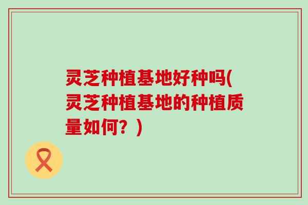 灵芝种植基地好种吗(灵芝种植基地的种植质量如何？)