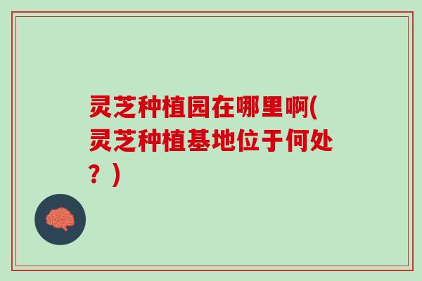 灵芝种植园在哪里啊(灵芝种植基地位于何处？)