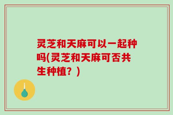 灵芝和天麻可以一起种吗(灵芝和天麻可否共生种植？)