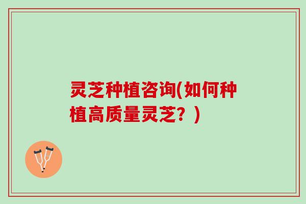 灵芝种植咨询(如何种植高质量灵芝？)