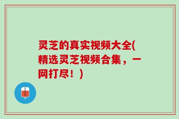 灵芝的真实视频大全(精选灵芝视频合集，一网打尽！)