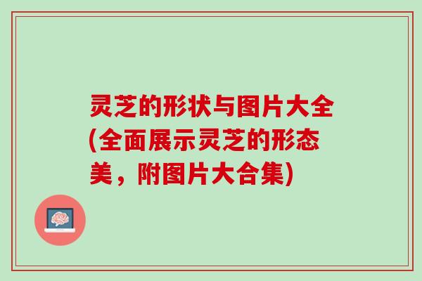 灵芝的形状与图片大全(全面展示灵芝的形态美，附图片大合集)