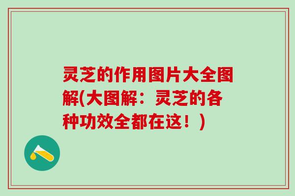灵芝的作用图片大全图解(大图解：灵芝的各种功效全都在这！)