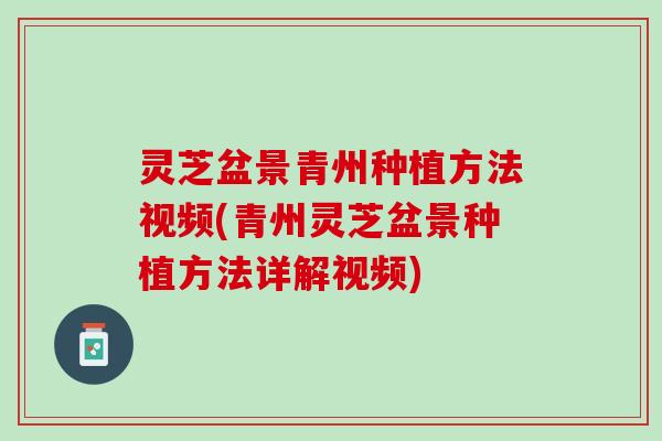 灵芝盆景青州种植方法视频(青州灵芝盆景种植方法详解视频)