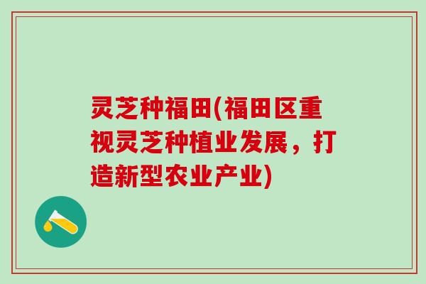 灵芝种福田(福田区重视灵芝种植业发展,打造新型农业产业) 灵芝种福田(福田区重视灵芝种植业发展,打造新型农业产业)