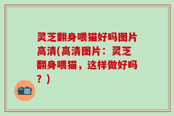 灵芝翻身喂猫好吗图片高清(高清图片：灵芝翻身喂猫，这样做好吗？)