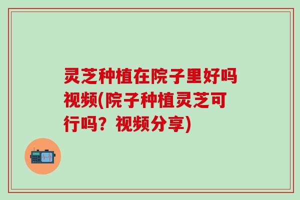 灵芝种植在院子里好吗视频(院子种植灵芝可行吗？视频分享)