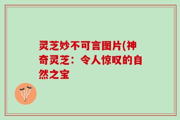 灵芝妙不可言图片(神奇灵芝：令人惊叹的自然之宝