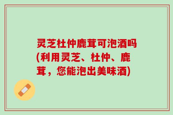 灵芝杜仲鹿茸可泡酒吗(利用灵芝、杜仲、鹿茸,您能泡出美味酒) 灵芝杜仲鹿茸可泡酒吗(利用灵芝、杜仲、鹿茸,您能泡出美味酒)