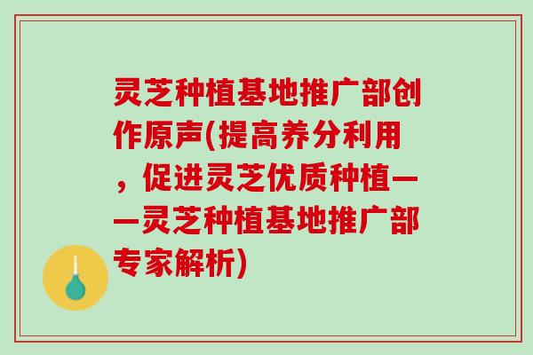 灵芝种植基地推广部创作原声(提高养分利用，促进灵芝优质种植——灵芝种植基地推广部专家解析)