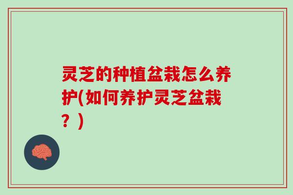 灵芝的种植盆栽怎么养护(如何养护灵芝盆栽？)
