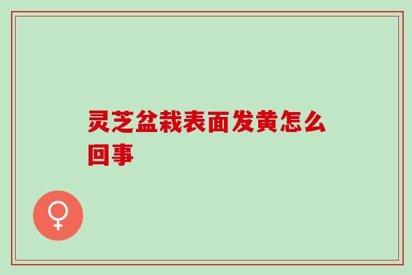 灵芝盆栽表面发黄怎么回事