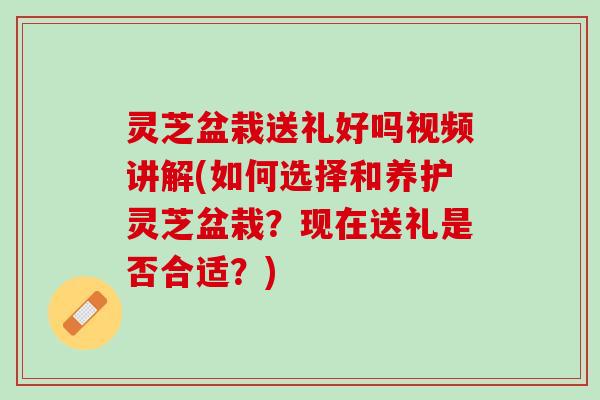 灵芝盆栽送礼好吗视频讲解(如何选择和养护灵芝盆栽？现在送礼是否合适？)