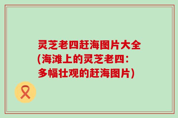 灵芝老四赶海图片大全(海滩上的灵芝老四：多幅壮观的赶海图片)