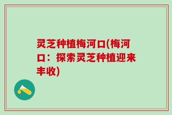 灵芝种植梅河口(梅河口：探索灵芝种植迎来丰收)