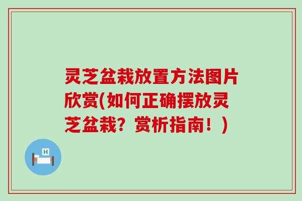 灵芝盆栽放置方法图片欣赏(如何正确摆放灵芝盆栽？赏析指南！)