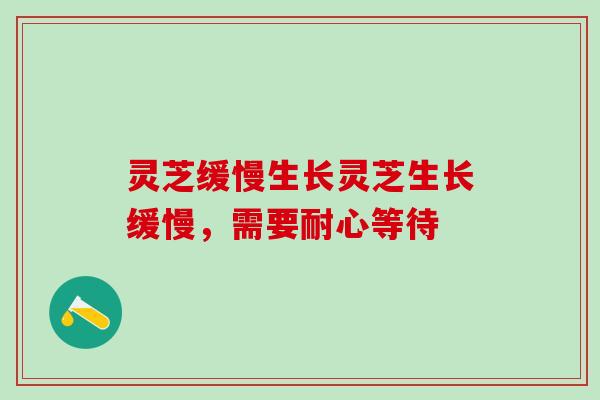 灵芝缓慢生长灵芝生长缓慢，需要耐心等待