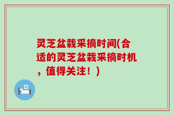 灵芝盆栽采摘时间(合适的灵芝盆栽采摘时机，值得关注！)