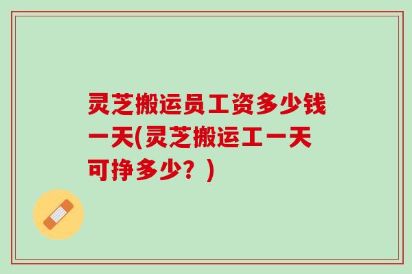 灵芝搬运员工资多少钱一天(灵芝搬运工一天可挣多少？)