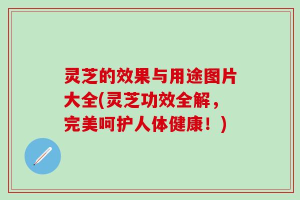 灵芝的效果与用途图片大全(灵芝功效全解，完美呵护人体健康！)