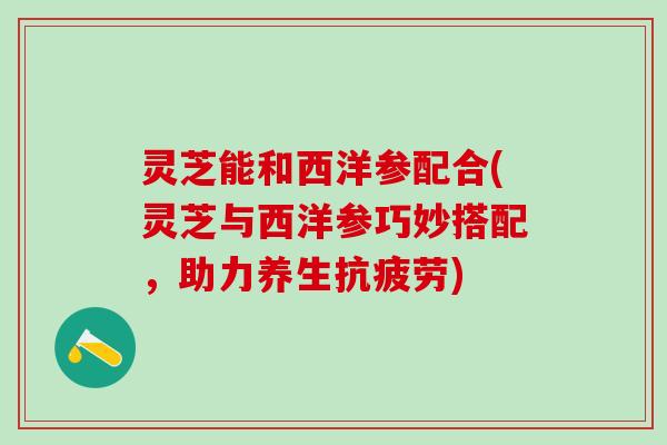 灵芝能和西洋参配合(灵芝与西洋参巧妙搭配，助力养生抗疲劳)