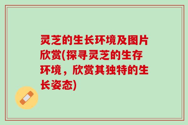 灵芝的生长环境及图片欣赏(探寻灵芝的生存环境，欣赏其独特的生长姿态)